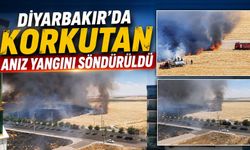 Diyarbakır'da Korkutan Anız Yangını Söndürüldü