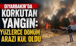 Diyarbakır'da Korkutan Yangın: Yüzlerce Dönüm Arazi Kül Oldu