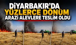 Diyarbakır'da Yüzlerce Dönüm Arazi Alevlere Teslim Oldu