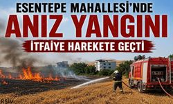 Esentepe Mahallesi'nde Anız Yangını: İtfaiye Harekete Geçti
