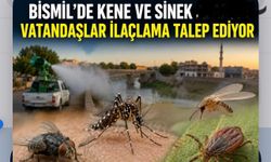 Bismil’de Sinek ve Kene Şikayetleri Arttı: Vatandaşlar daha fazla İlaçlama İstiyor