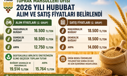 TMO 2026 Hububat Alım Fiyatlarını Açıkladı: Buğday 16 Bin 500 TL, Arpa 12 Bin 750 TL