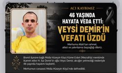 Molla Hüseyin Köyü Yasta: Veysi Demir Hayatını Kaybetti