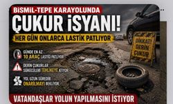 Bismil-Tepe Karayolundaki Çukurlar Sürücüleri Canından Bezdiriyor