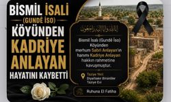 Bismil İsalı (Gundê Îso) Köyünden Kadriye Anlayan Hayatını Kaybetti