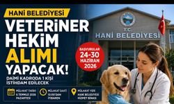 Hani Belediyesi Daimi Kadroda Veteriner Hekim Alımı Yapacak: Başvurular Başladı