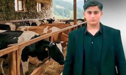 Büyükbaş Hayvanın Darbesi Can Aldı: 16 Yaşındaki Genç Hayatını Kaybetti