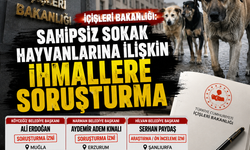 İçişleri'nden 3 belediye başkanı hakkında sokak hayvanları soruşturması