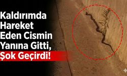 Kaldırımda Hareket Eden Cismin Yanına Gitti, Şok Geçirdi!