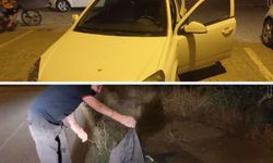 Park Halindeki Araca Giren Yılan Paniğe Neden Oldu