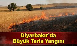 Diyarbakır'da Büyük Tarla Yangını