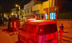 Tartışan 2 Kardeş Silahla Birbirini Yaraladı