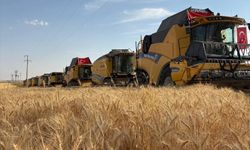 Türkiye’nin En Büyük Tarım İşletmesinde Hasat Sevinci