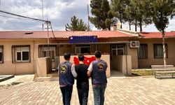 Diyarbakır’da Jandarmadan Aranan Şahıslara Operasyon: 162 Kişi Yakalandı