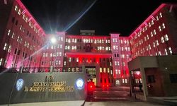 12 Düzensiz Göçmen ve 2 Organizatör Şüphelisi Yakalandı