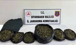 Diyarbakır’da Jandarmadan Uyuşturucu Operasyonları: 41 Kilo Esrar Ele Geçirildi
