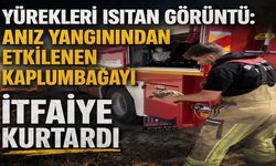 Yürekleri Isıtan Görüntü: Anız Yangınından Etkilenen Kaplumbağayı İtfaiye Kurtardı