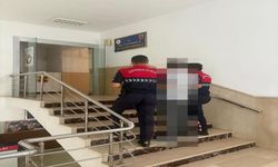 Jandarma Ekipleri Hırsızlık Suçundan Aranan Şahıs Yakaladı