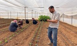 Su Geldi, Göç Bitti: Artık Kendi Topraklarının Patronu Oldular!