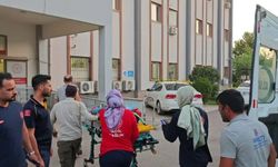 Kontrolden Çıkan Kamyonet Devrildi: 6 Kişi Yaralandı