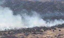Adıyaman’da ormanlık alanda yangın
