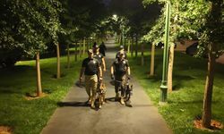 Park Denetimlerinde 160 Sürücüye Dev Ceza