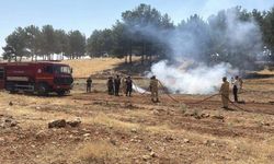AFAD Koordinasyonunda Yangın ve Kuraklık Tatbikatı Yapıldı