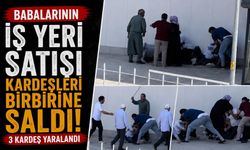 Miras Kavgası Kanlı Bitti: Kardeşler Birbirine Girdi, 3 Yaralı!