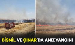 Bismil ve Çınar'da Çıkan Anız Yangınlarına Müdahale