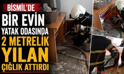 Bismil'de Bir Evin Yatak Odasında 2 Metrelik Yılan Çığlık Attırdı