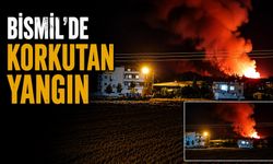 Bismil'de Korkutan Yangın Meydana Geldi