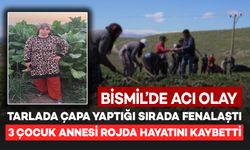 Bismil'de Tarlada Çapa Yaptığı Sırada Fenalaşan 3 Çocuk Annesi Rojda Hayatını Kaybetti