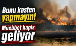 Bunu Kasten Yapmayın! Müebbet Hapis Cezası Geldi