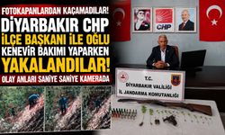 Fotokapanlardan Kaçamadılar! Diyarbakır CHP İlçe Başkanı ile Oğlu Kenevir Bakımı Yaparken Yakalandılar