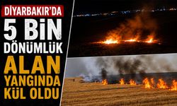 Diyarbakır'da 5 Bin Dönümlük Alan Yangında Kül oldu