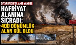 Diyarbakır'da Anız Yangını Hafriyat Alanına Sıçradı: 400 Dönümlük Alan Kül Oldu