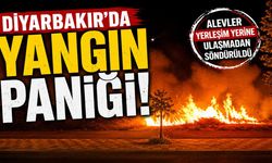 Diyarbakır'da Yangın Paniği! Alevler Yerleşim Yerine Ulaşmadan Söndürüldü