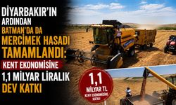 Diyarbakır'ın Ardından Batman'da da Mercimek Hasadı Tamamlandı: Kent Ekonomisine 1,1 Milyar Liralık Dev Katkı