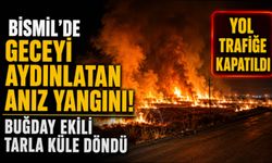 Bismil’de Geceyi Aydınlatan Anız Yangını! Buğday Ekili Tarla Küle Döndü