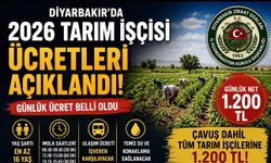 Diyarbakır'da 2026 Tarım İşçisi Ücretleri Belli Oldu: Günlük Yevmiye 1.200 TL