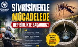 Büyükşehir Belediyesi'nden Sivrisinek Açıklaması: "Mücadele Hep Birlikte Başarılır"