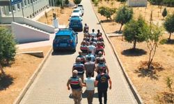 Diyarbakır Merkezli Dev Operasyon: Sahte İş ve TOKİ Vaadiyle Vurgun