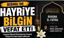 Bismil'de Hayriye Bilgin hayatını kaybetti