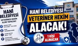 Belediye Veteriner Hekim Alımı Yapacak