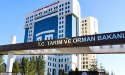 Tarım ve Orman Bakanlığı 1.874 Sözleşmeli Personel Alacak