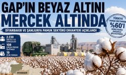 GAP’ın Beyaz Altını Mercek Altında: Diyarbakır ve Şanlıurfa Pamuk Sektörü Envanteri Açıklandı
