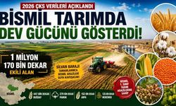 Bismil 2026 Yılı Tarla Ekiliş Raporu: 1 Milyon 170 Bin Dekarı Aşan Üretim Gücü