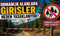 Ormanlık Alanlara Girişler Neden Yasaklanıyor?
