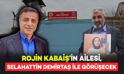 Rojin Kabaiş'in Ailesi, Selahattin Demirtaş ile Görüşecek