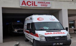 Kontrolden Çıkan Otomobil Devrildi: Sürücü Yaralandı